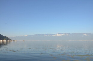 宁静湖畔的开阔湖景风光