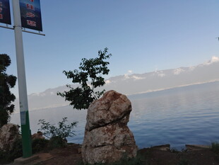 湖畔奇石绿树的美丽景致