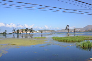 水乡风光 水面与远处桥梁
