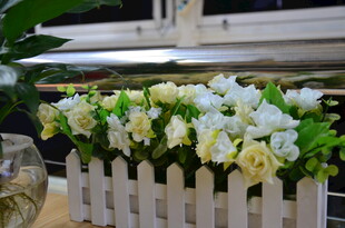 白色栅栏中的清新花卉