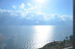 阳光下波光粼粼的辽阔水面