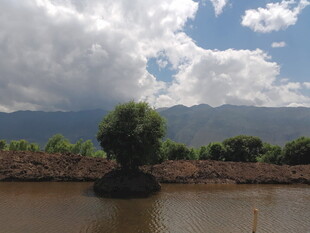 湖畔山林风景图