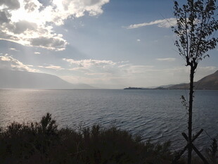 湖畔风光 宁静自然景致