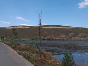 乡村公路旁的开阔自然景观