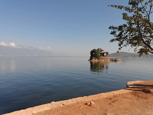 湖畔美景 宁静水边一棵树