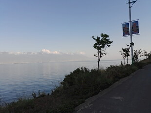 湖畔公路旁的宁静景致