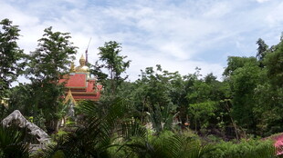 绿树环绕中的别致小屋