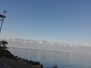 湖畔风光 风车与波光粼粼