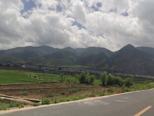 乡村公路旁的青山绿野