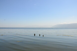 海边漫步的几个人影