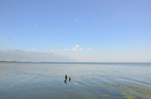 海边漫步的两人