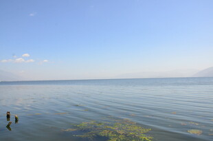 宁静湖面的开阔风光