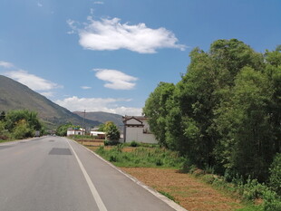 乡村公路旁的自然景致