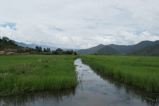 田园水乡风光 小河穿绿野