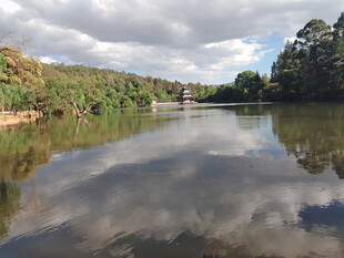 宁静湖畔自然风光美景