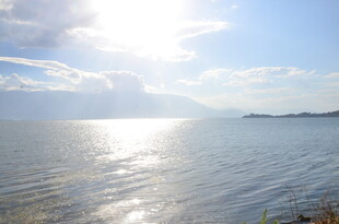 阳光照耀下的宁静海面