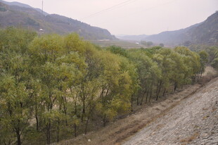 山间葱郁树林与开阔地带