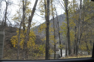 秋日山林公路美景