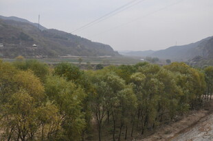 山间葱郁树林风景图