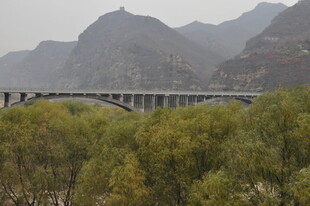 山间桥梁与葱郁树林景观