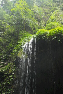 山间瀑布 绿意盎然