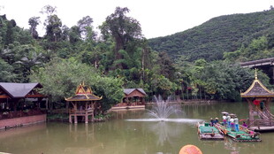 湖畔水乡风光 游船点缀