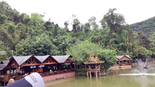 河畔木屋 山林中的静谧景致