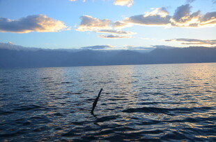 海面飞鸟与绚丽天空美景