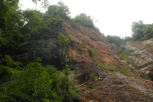 山体滑坡现场景象