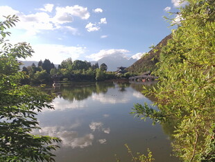 湖畔风光 绿树环绕的宁静水域