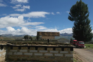 乡村路边的建筑与绿树