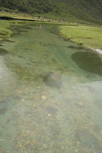 清澈见底的山间浅溪