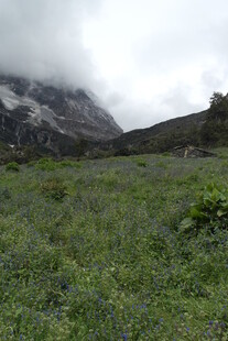 山间绿野 云雾缭绕之景