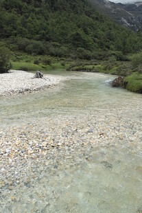 山间清澈溪流 碎石遍布