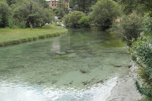 清澈溪流旁的绿意景致