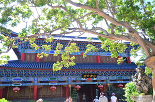 中式古建筑前繁茂绿树