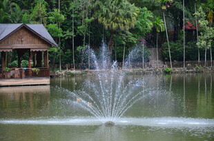 湖畔喷泉与木质凉亭景观