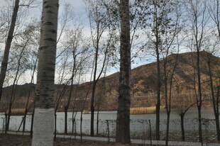 冬日山林旁的静谧水域