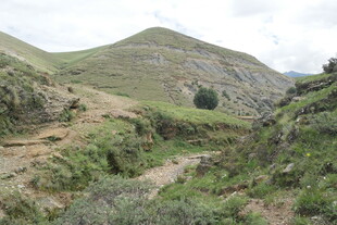 山间绿意盎然的蜿蜒小径