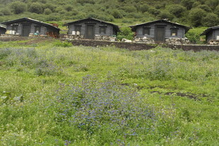 山间草地旁的小屋群落