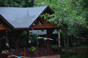 林间木屋 静谧自然之景