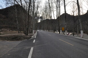 冬日空旷林间道路