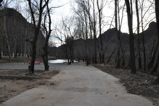 冬日林间空旷小路