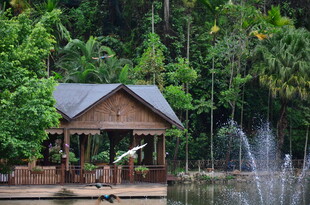 湖畔木屋伴喷泉绿植