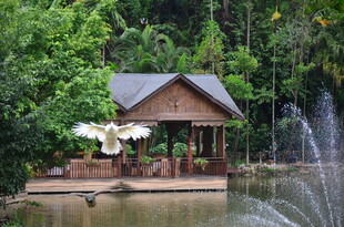 湖畔木屋 自然中的静谧景致