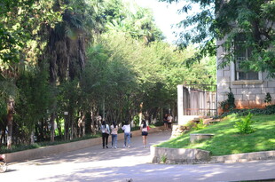 林荫小道上的休闲人群