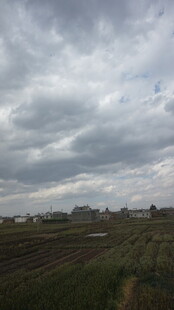 田野上空的厚重云层