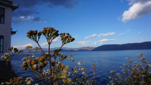 湖畔美景 屋旁繁花映蓝天