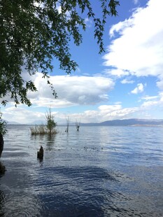湖畔美景 蓝天碧水绿树