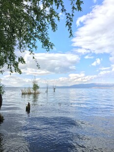 湖畔风光 蓝天碧水绿树